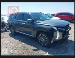 هیوندای پالیسەید